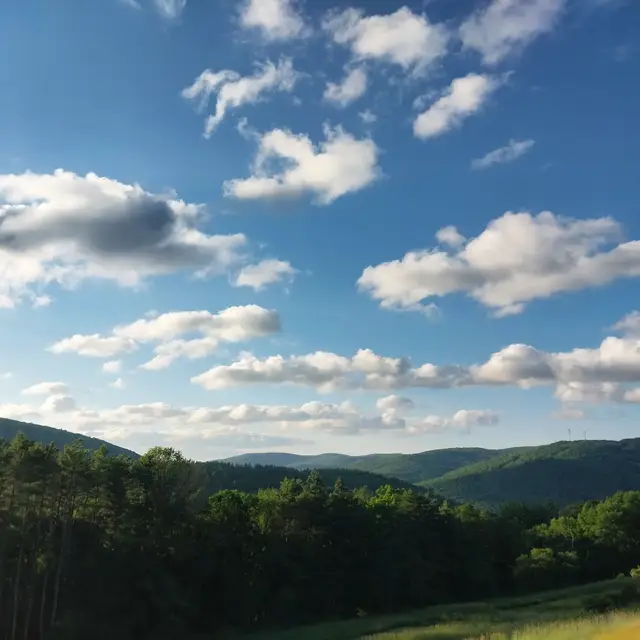 Photo from Stephanie K.’s stay