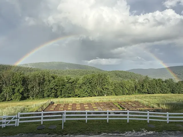 A rainbow arching over green mountains, trees, a fenced garden, and a white fence under cloudy skies