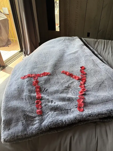 Red rose petals arranged as "TY" on a gray blanket on a bed in a wood-paneled room