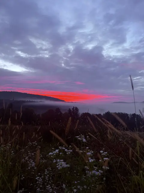 Sunrise over misty mountain valley with wildflowers in foreground
