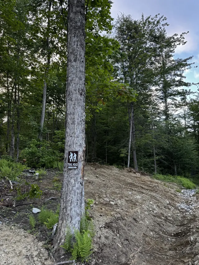 Photo shared by Bea S. with their review