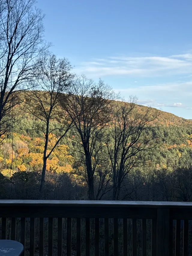 Photo shared by Erin A. with their review